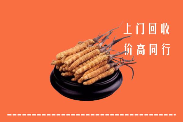 高价求购：平舆县回收散虫草