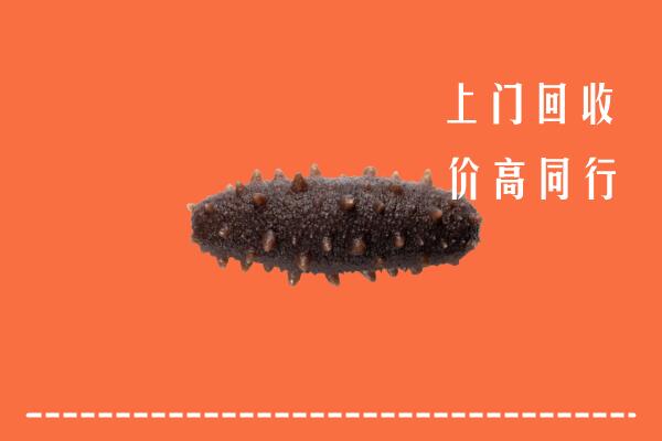平舆县回收海参