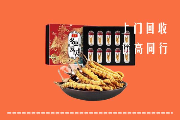 平舆县回收虫草